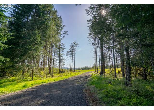 Property at 2333 Crooked Finger Rd, Scotts Mills, OR 97375