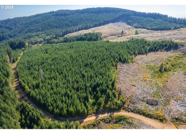 Property at 0 Bald Mountain Rd, Beaver, OR 97108