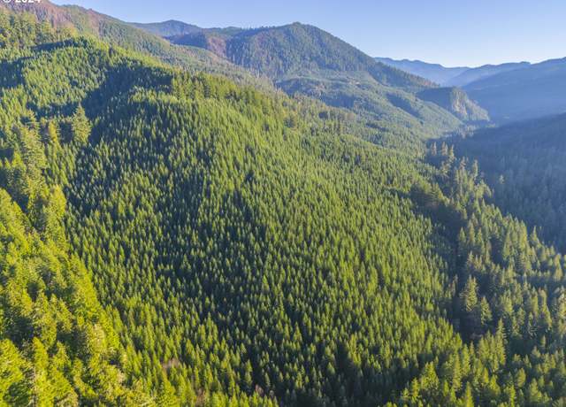 Property at Sharps Creek Rd, Dorena, OR 97434