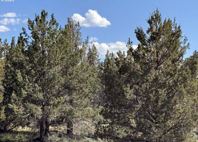 Property at Hwy 140 #300, Beatty, OR 97621