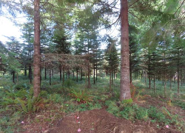 Property at State Route 101 #2, South Bend, WA 98586