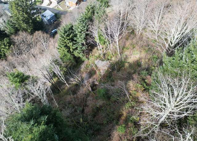 Property at Elk Mountain Rd #4200, Yachats, OR 97498