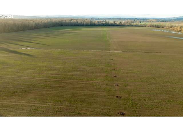 Property at 0 SE Upper Island Rd, Dayton, OR 97114