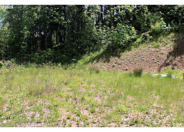Property at 1482 Canyonville Riddle Rd, Riddle, OR 97469