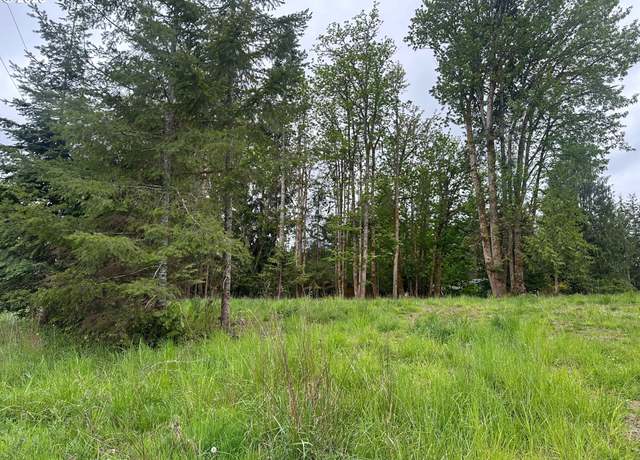 Property at Oregon Tax ID 436205 Ave, Vernonia, OR 97064