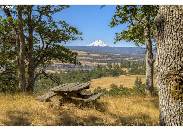 Property at 10 Canyon Rd, Lyle, WA 98635