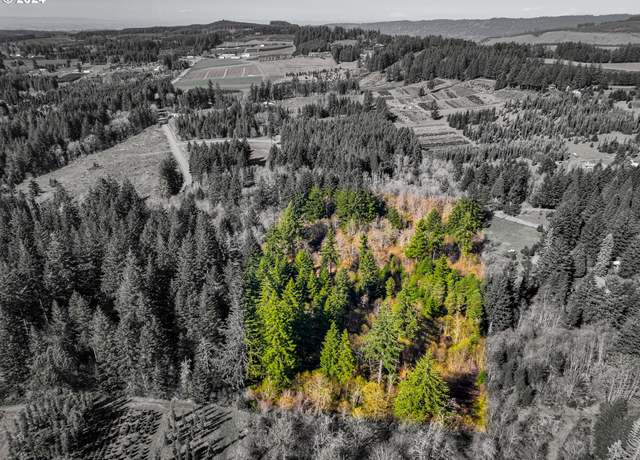 Property at 19890 Sharon Tony Way SE, Silverton, OR 97381