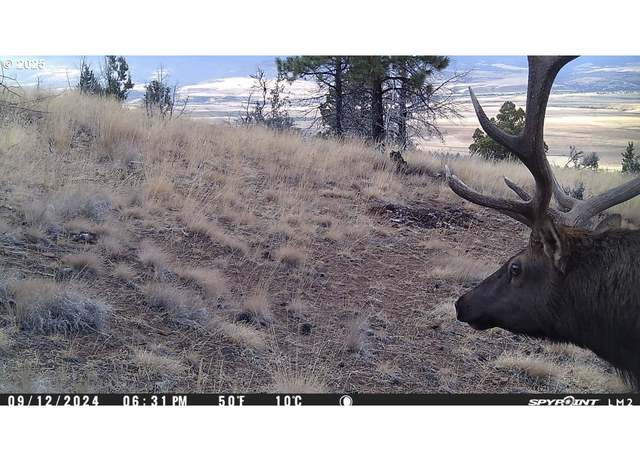 Property at FS Rd 613, John Day, OR 97845