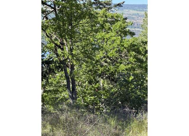 Property at Coyote Ct Lot 43, Mosier, OR 97040