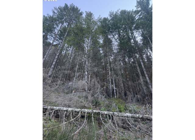 Property at 0 Nf-2212, Gates, OR 97346