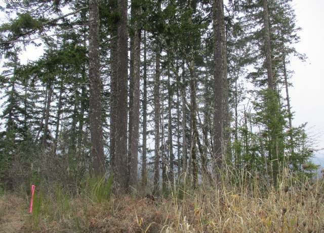 Property at 0 SW Rock Creek Rd, Sheridan, OR 97378