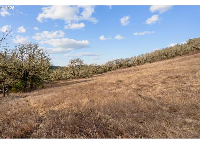 Property at 19660 SW Eagle Point Rd, Mcminnville, OR 97128