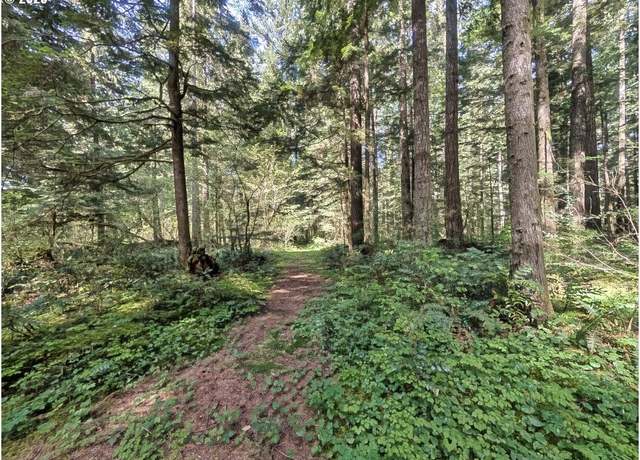 Property at 62955 E Mountain Country Ln, Brightwood, OR 97011