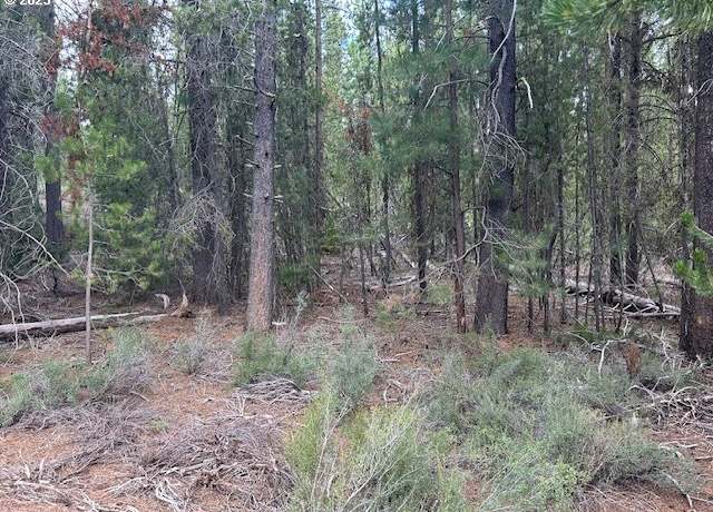 Property at 400 Hwy 58, Crescent Lake, OR 97733
