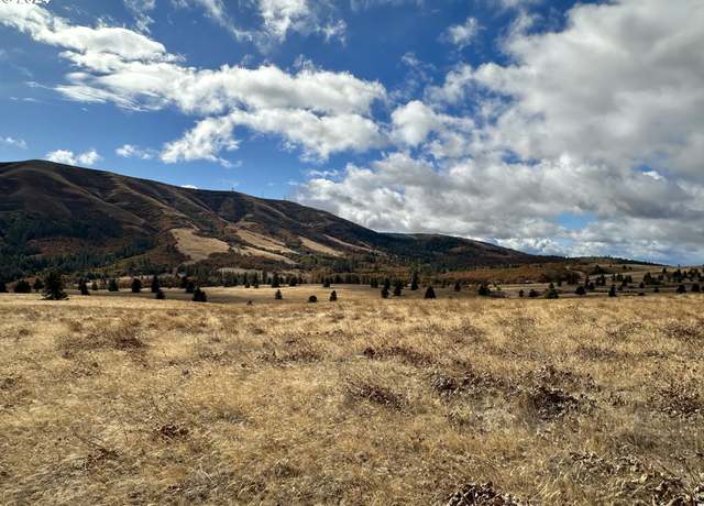 Property at 49 Restful Haven Dr, Lyle, WA 98635