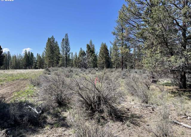 Property at Off NF Road 44 #1600, Chiloquin, OR 97624