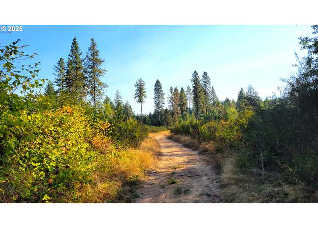 Property at E Hunter Rd Unit 602E, Veneta, OR 97487