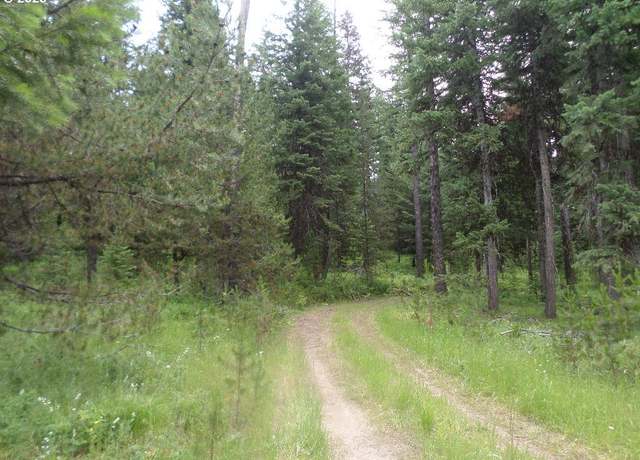 Property at 0 Akers Butte Rd, Wallowa, OR 97885