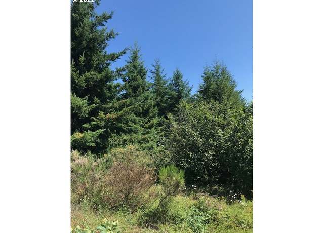 Property at 0 Powers Creek (north) Loop, Silverton, OR 97381