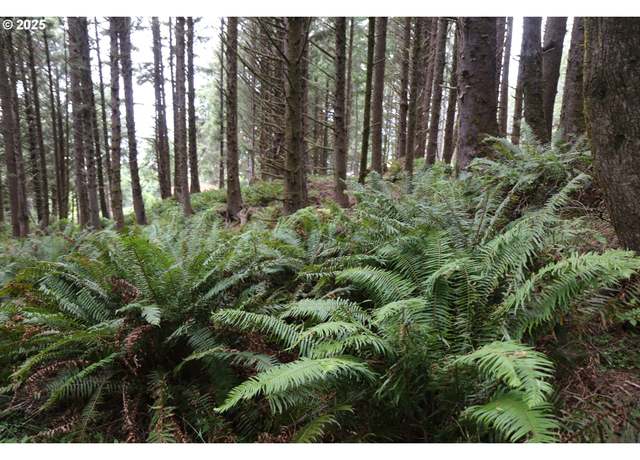 Property at Hwy 101, Cannon Beach, OR 97110