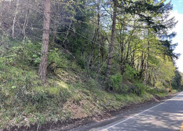 Property at 000300 Clarks Branch Rd, Myrtle Creek, OR 97457