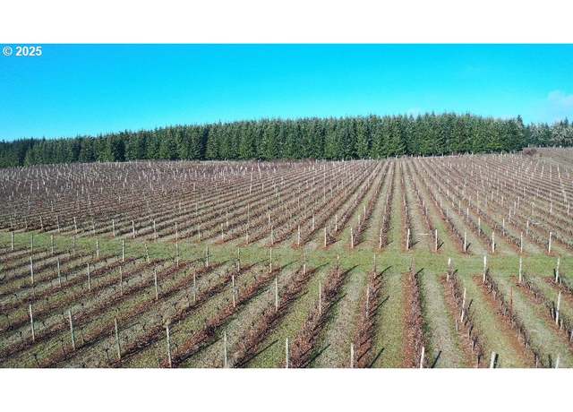 Property at 0 Pioneer Rd, Dallas, OR 97338