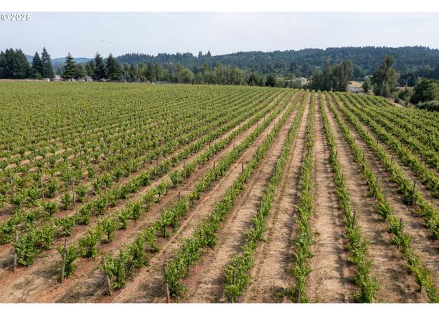 Property at 0 Pioneer Rd, Dallas, OR 97338