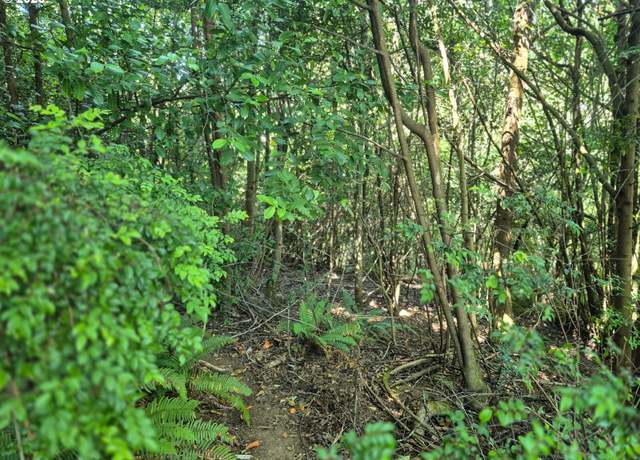 Property at Dogwood, Coquille, OR 97423