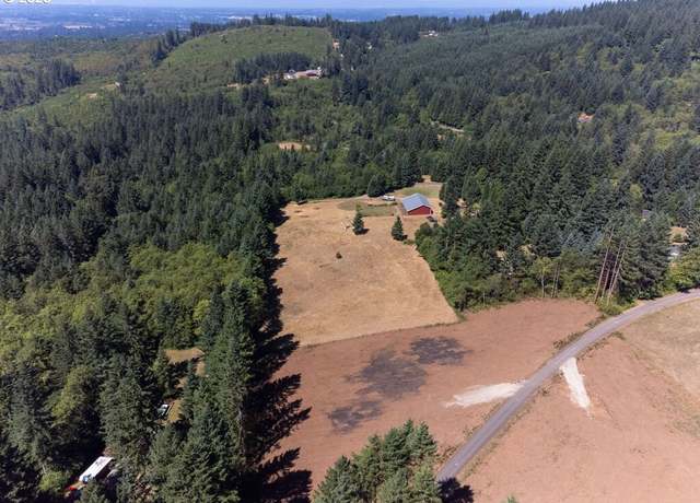 Property at 205850000, 205851000, Brush Prairie, WA 98606
