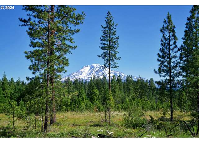 Property at Byrkett Rd #2, Trout Lake, WA 98650