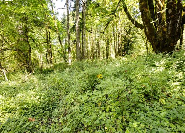 Property at 28003 E Lost Ln, Welches, OR 97067