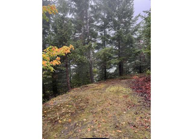 Property at 6232 Coyote Creek Rd, Wolf Creek, OR 97497