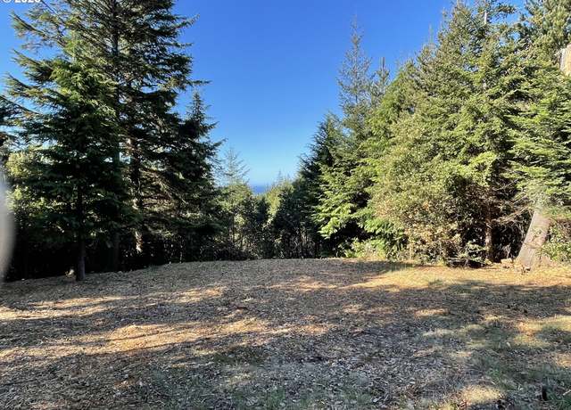 Property at Chris La Ln, Port Orford, OR 97465