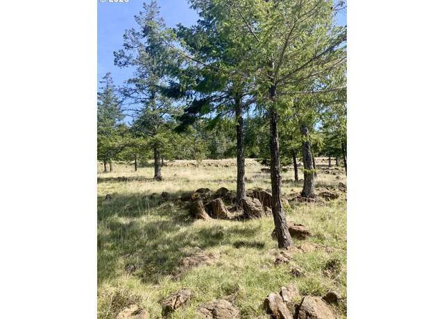 Property at 95645 Spirit Ridge Rd, Gold Beach, OR 97444