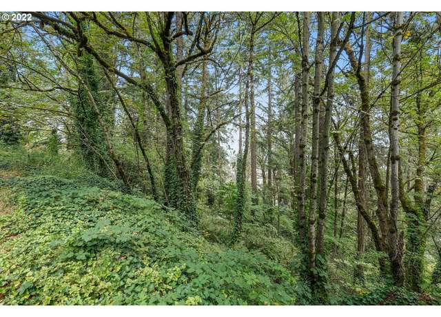Property at E Side NW Germantown Rd, Portland, OR 97231