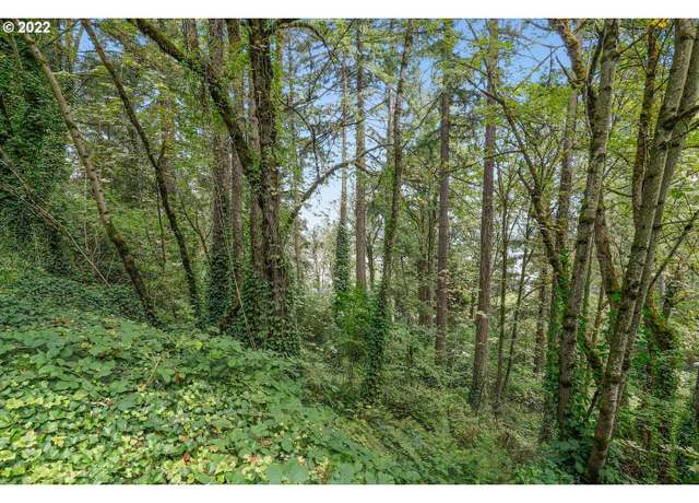 Photo of E Side NW Germantown Rd, Portland, OR 97231