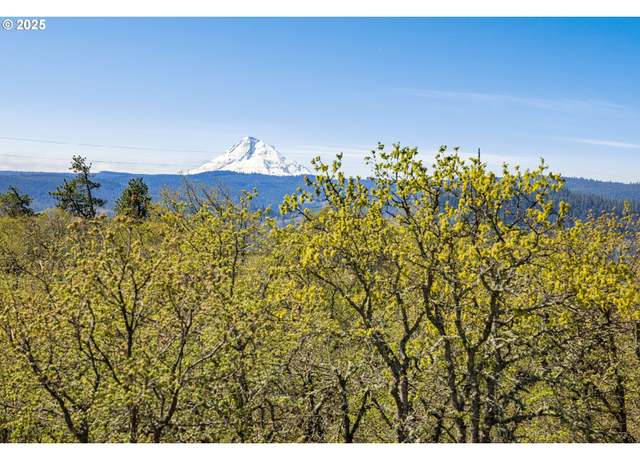Property at 1075 Morgensen Rd, Mosier, OR 97040
