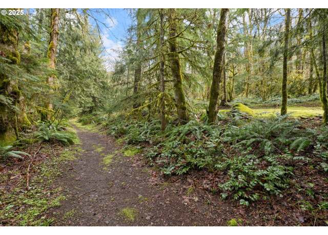 Property at 27355 E Salmon River Rd, Welches, OR 97067