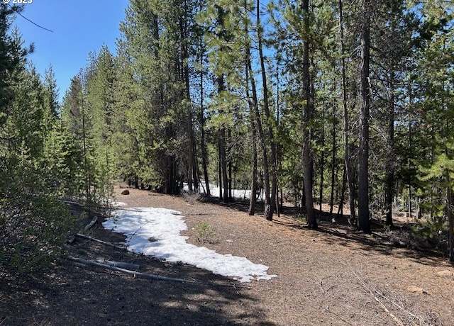 Property at 33 Emerald Meadows Way, Crescent Lake, OR 97733