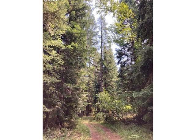 Property at 138028 Black Pine Ln, Weston, OR 97886
