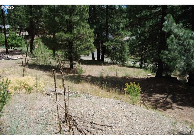 Property at 554 N Bonanza St, Sumpter, OR 97877