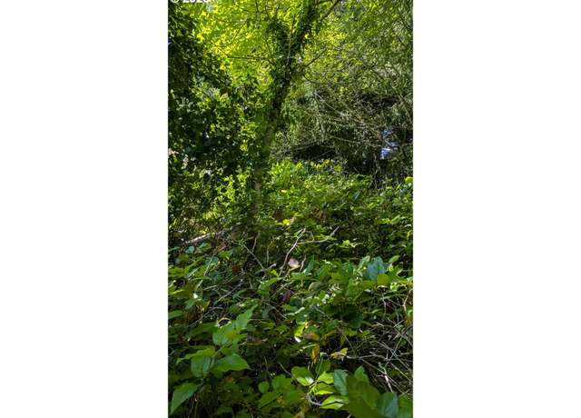 Property at Rebel, Waldport, OR 97394