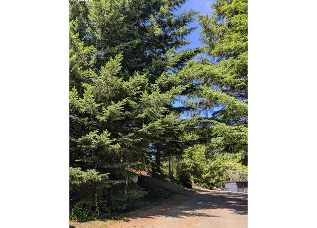 Property at Rebel, Waldport, OR 97394