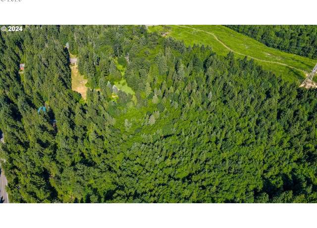 Property at 00719501 E Aschoff, Rhododendron, OR 97049