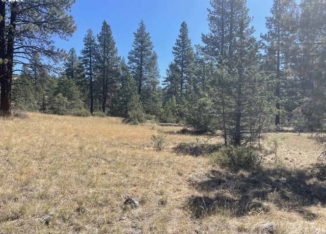 Property at Canary Dr Lot 19, Bonanza, OR 97623