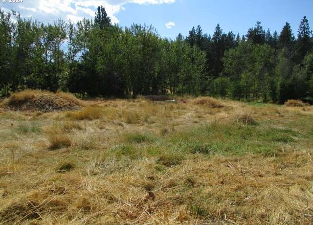 Property at 410 Mill Cr Ln, Cove, OR 97824