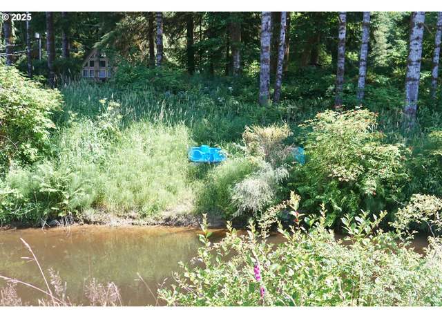 Property at 9965 Beach Dr, Birkenfeld, OR 97016