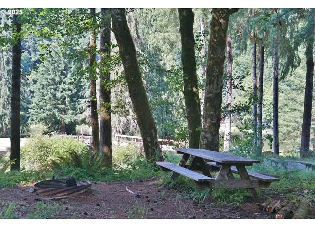 Property at 9965 Beach Dr, Birkenfeld, OR 97016