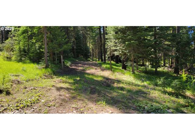 Property at Chief Joseph Loop Rd, Joseph, OR 97846