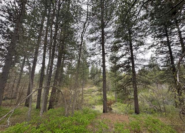 Property at Bickleton Hwy, Bickleton, WA 99322